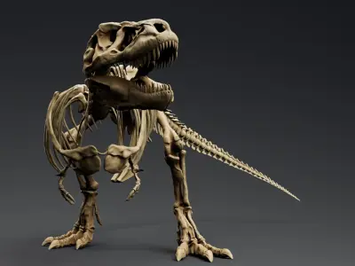 Dinosaur Trex Sue Skeleton Unreal Engine - Unity Projects 3D model
