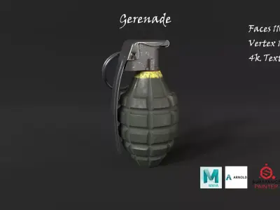 Gerenade With Textures 3D model