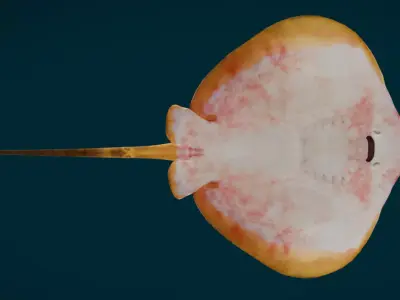 Red Stingray Animated  Low-poly 3D model