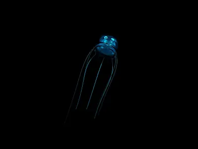 Jellyfish glowing 3D model