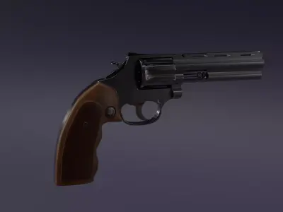 Revolver 3D model 27