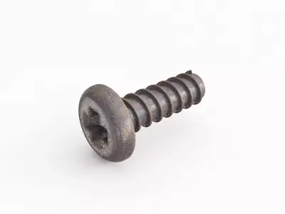 Screw 117 3D model