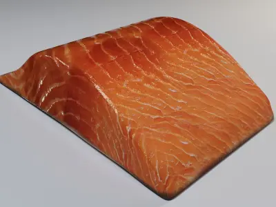 Salmon Fillet 3D model