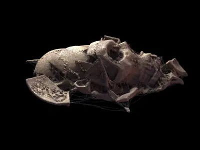 Broken Skull with Spider webs 2 3D model