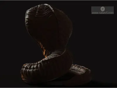 Serpent Model 3D print model