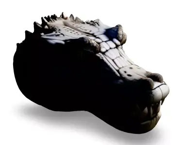 Realistic Crocodile Head 3D Model Low-poly 3D model