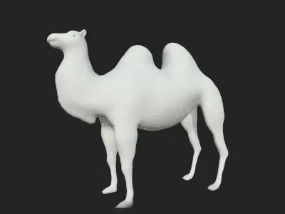 Camel Low-poly Low-poly 3D model