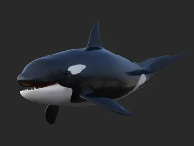 Killer Whale Animated 8K Low-poly 3D model