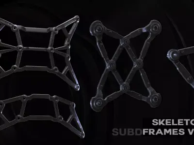 10 Skeleton frames Vol I SUBD 3D model