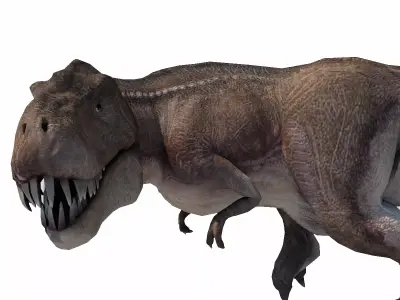 Realistic Tyranasaurus rex Low-poly 3D model