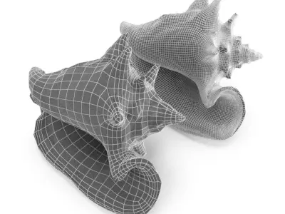 Shell 03 - Low and High Poly Versions Low-poly 3D model