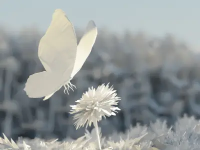 butterfly animation Free 3D model