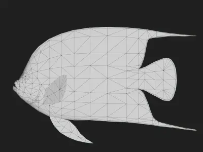 Angelfish Low-poly 3D model