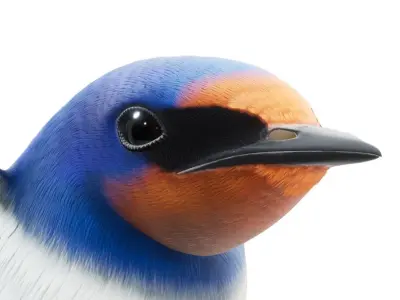 Barn Swallow Hirundo Rustica Low-poly 3D model