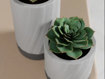 Spiral Plant Pot Free 3D print model