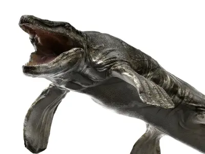 Tylosaurus 3D model Rigged Low-poly 3D model