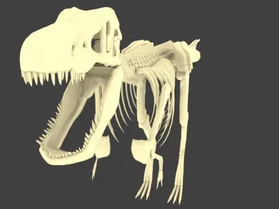 Tyrannosaurus Rex or T-Rex Dinosaur Skeleton Low-poly 3D model