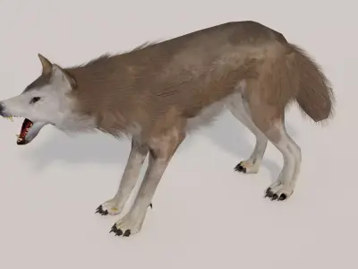 Brown Wolf Animated game ready with fur Low-poly 3D model