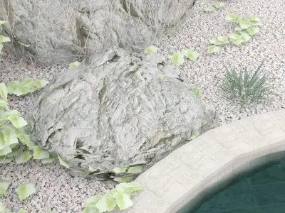 Garden Decorative Pond with Fish 3D model