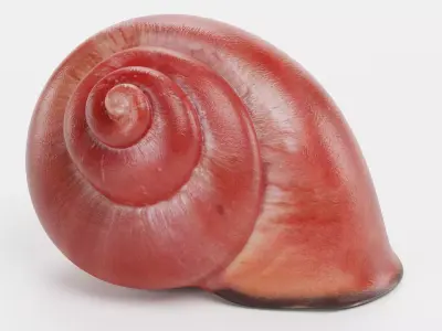 -Snail Shell- Low-poly 3D model