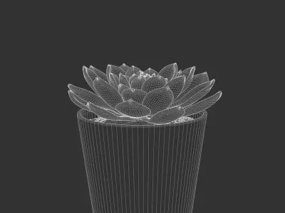  Echeveria Succulent Potted Plant Model, Green 