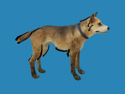dog lowpoly 3dmodel 3D model