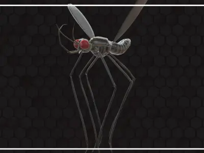 Mosquito with eyes Low-poly 3D model