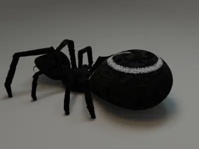Spider 3D model
