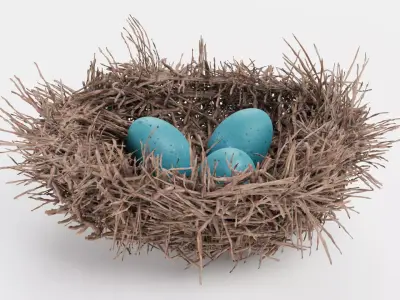 -Nest with Eggs- 3D model