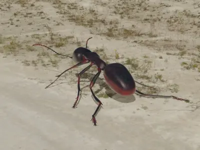 Ant 3D model rigged animated Low-poly 3D model