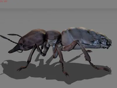 Termite Isopetra Animal Low-poly 3D model