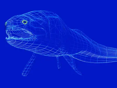 Dunkleosteus whale Low-poly 3D model