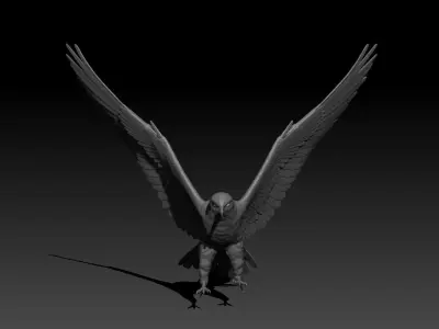 Accipiter gentilis 3D print model