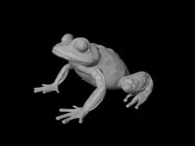 Frogg 3D print model