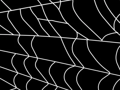 Spider Web 3D model