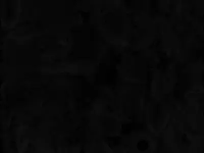 Aquabbit Creature 3D Model Whimsical Companion Low-poly 3D model