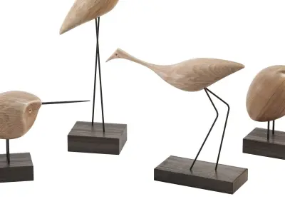 Beak Bird Teak 3D model