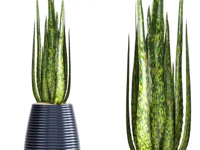 indoor plant set017 3D model