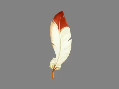 cartoon feather Low-poly 3D model