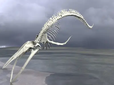 Dinosaur Bones 3D model