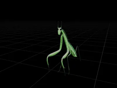 Mantis 3D MODEL Low-poly 3D model