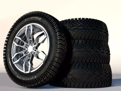Tire with disc 3D model