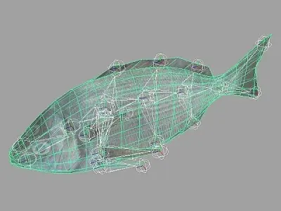 Kantar - Cantharus Low-poly 3D model