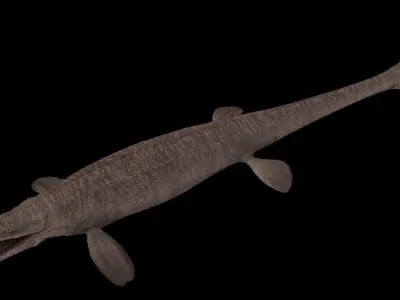 Tylosaurus Asset Pack 3D model