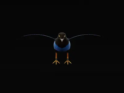 Purplish-Backed Jay Bird Low-poly 3D model