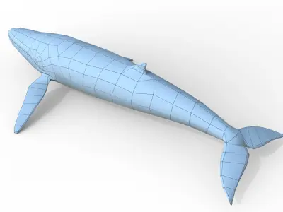 Whale game ready Low-poly 3D model