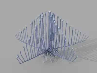 Lyre Sponge 3D model