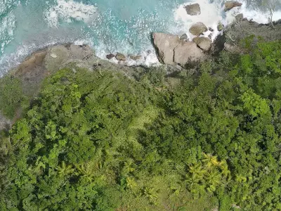 BMC-CAMINO Free 3D model