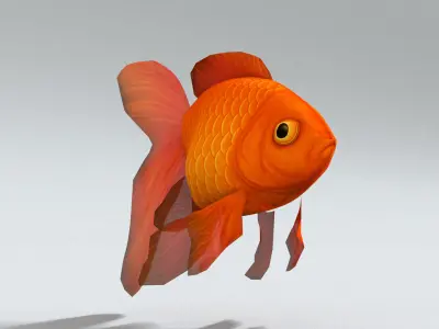 laos Goldfish Low-poly 3D model