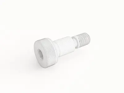 Screw 49 3D model